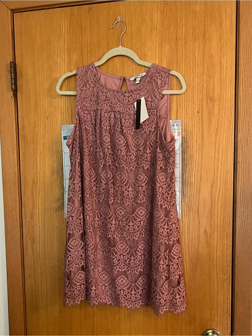 Speechless Dusty Rose Lace Dress